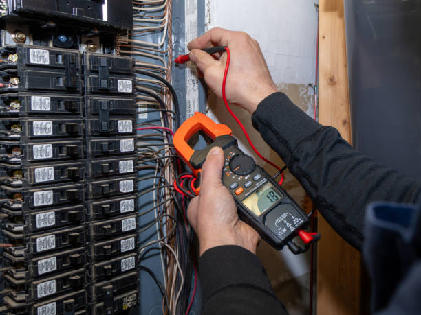 Best Ceiling Fan Installation Electrician  in Sault Ste Marie, MI